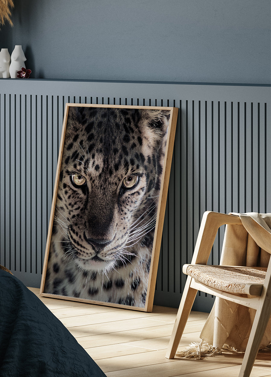Leoparden-Poster - Posterbox.dk