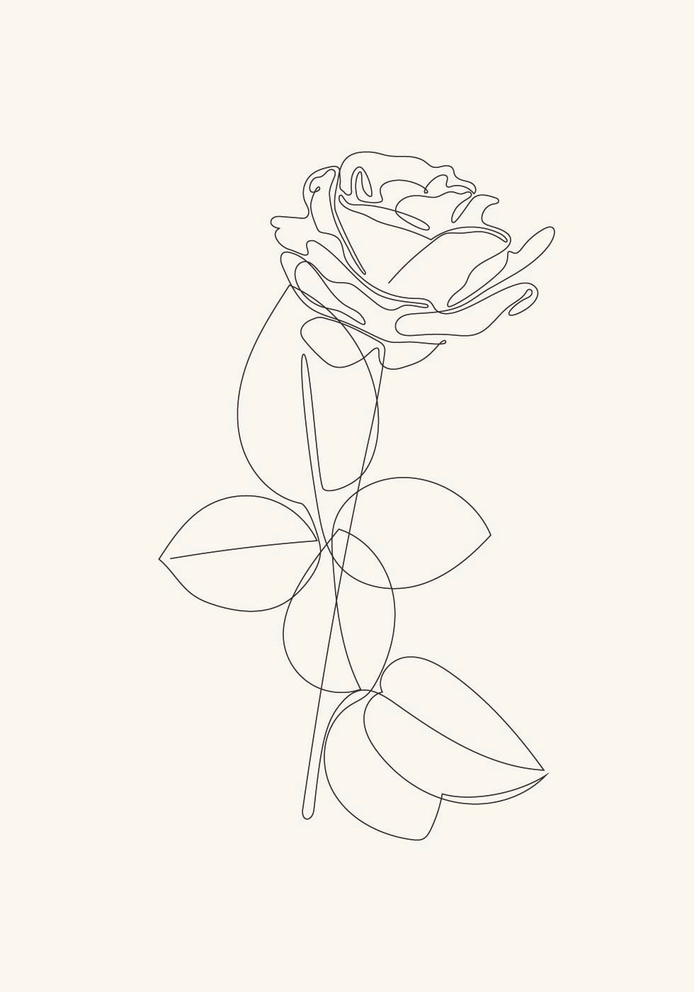 Line Art Rose Poster - Posterbox.dk