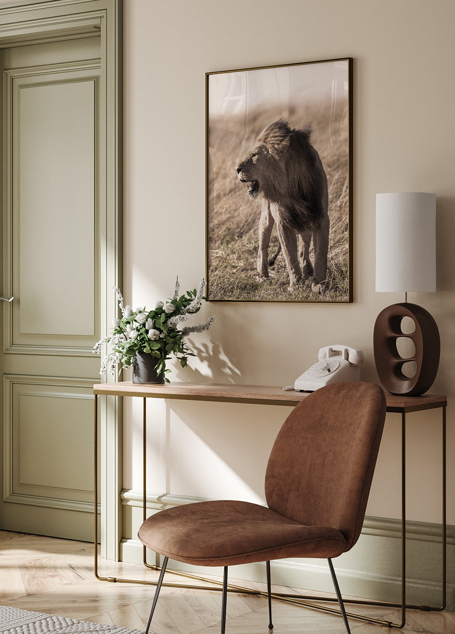 Löwe im Profil Poster - Posterbox.dk