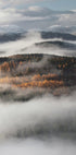 Misty Valley Poster - Posterbox.dk