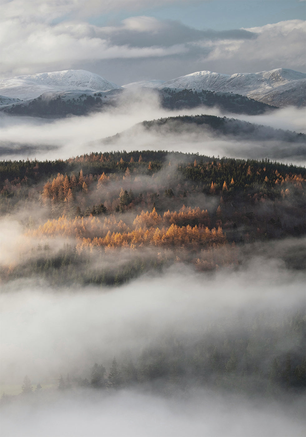 Misty Valley Poster - Posterbox.dk