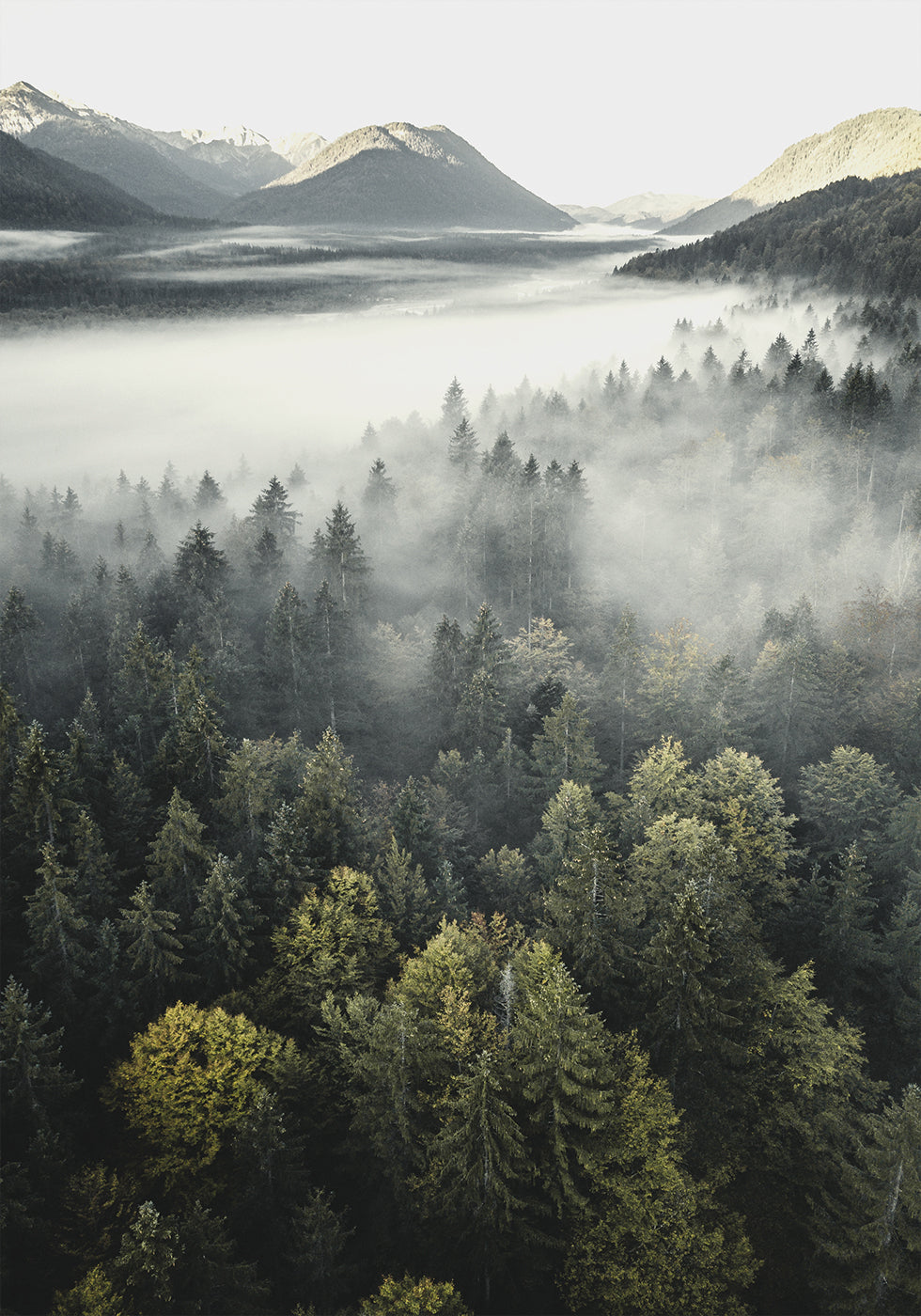 Misty Mountain Poster - Posterbox.dk