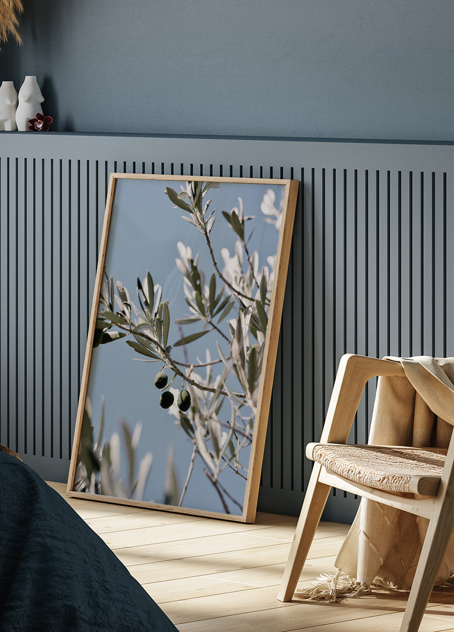 Poster „Olivenbaumzweig“ - Posterbox.dk