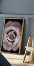 Rosa Rose Poster - Posterbox.dk