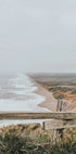 Point Reyes Poster - Posterbox.dk