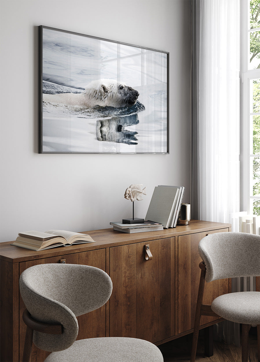 Eisbär schwimmendes Poster - Posterbox.dk