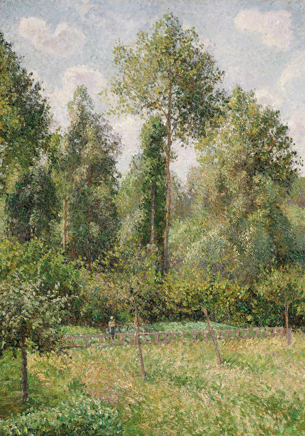Poplars Éragny von Camille Pissarro Poster - Posterbox.dk