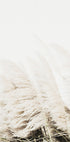 Reed In Wind Poster - Posterbox.dk