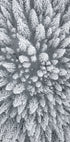 Schneewald-Luftposter - Posterbox.dk