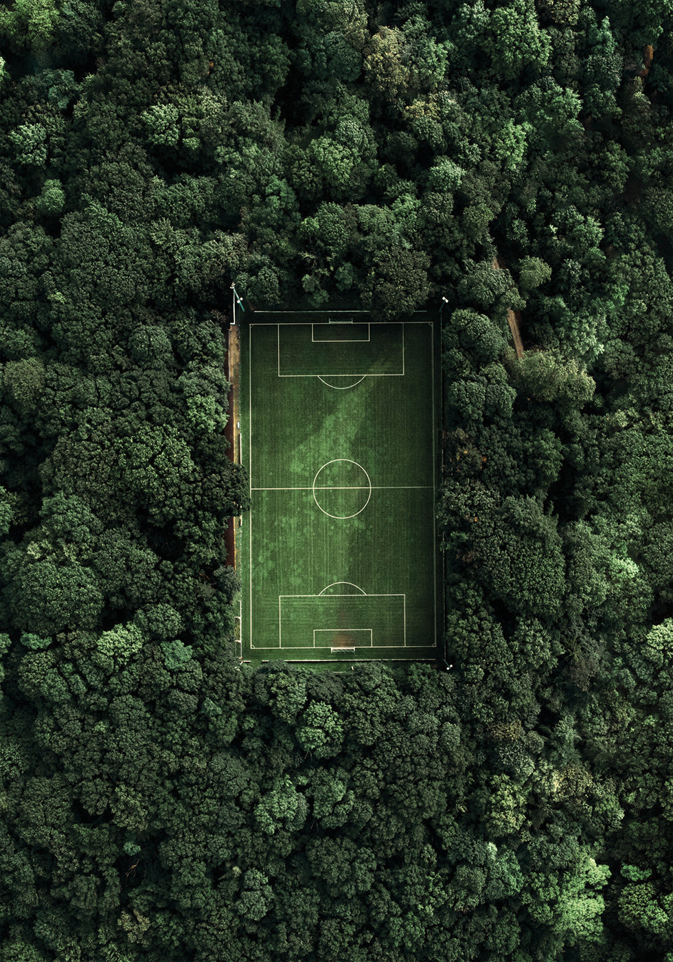 Fußballplatz im Wald Poster - Posterbox.dk