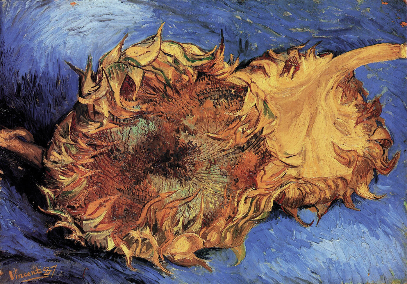Sonnenblumen von Vincent van Gogh Poster - Posterbox.dk