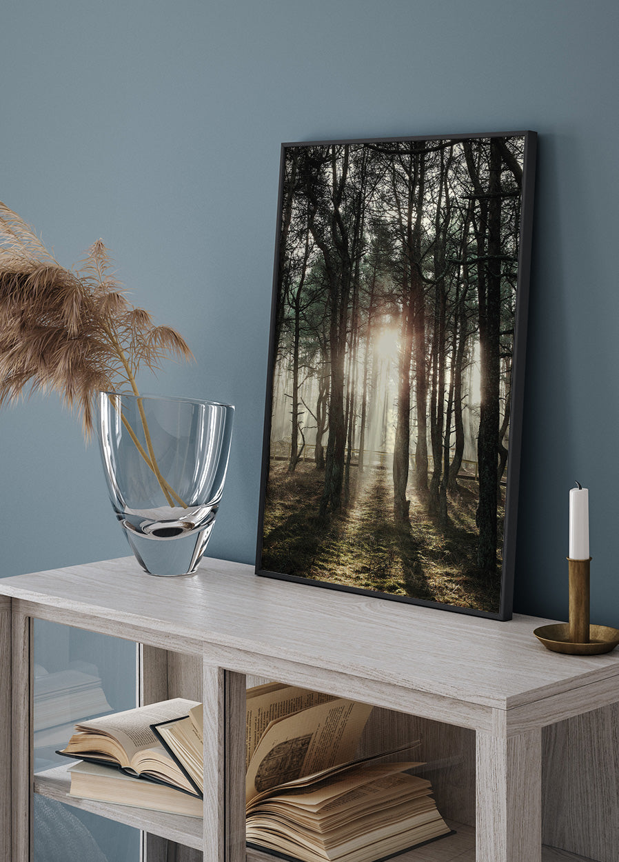 Poster „Sonnenlicht durch die Bäume“ - Posterbox.dk