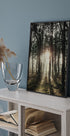 Poster „Sonnenlicht durch die Bäume“ - Posterbox.dk
