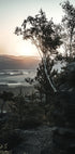 Sonnenaufgang im Nationalpark, Schweiz Poster - Posterbox.dk