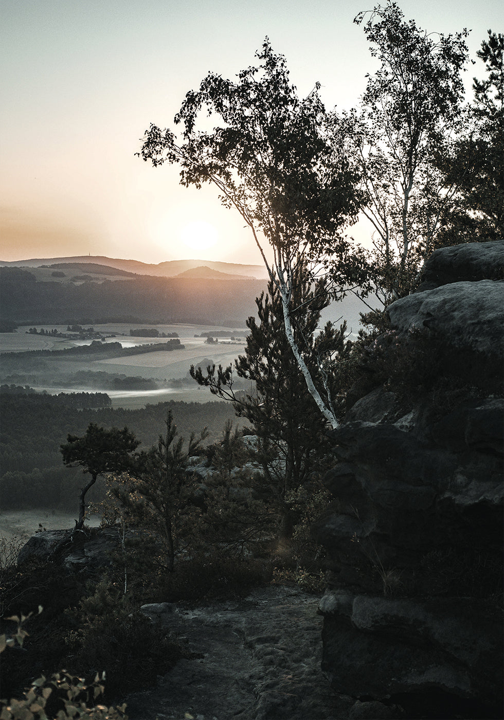 Sonnenaufgang im Nationalpark, Schweiz Poster - Posterbox.dk