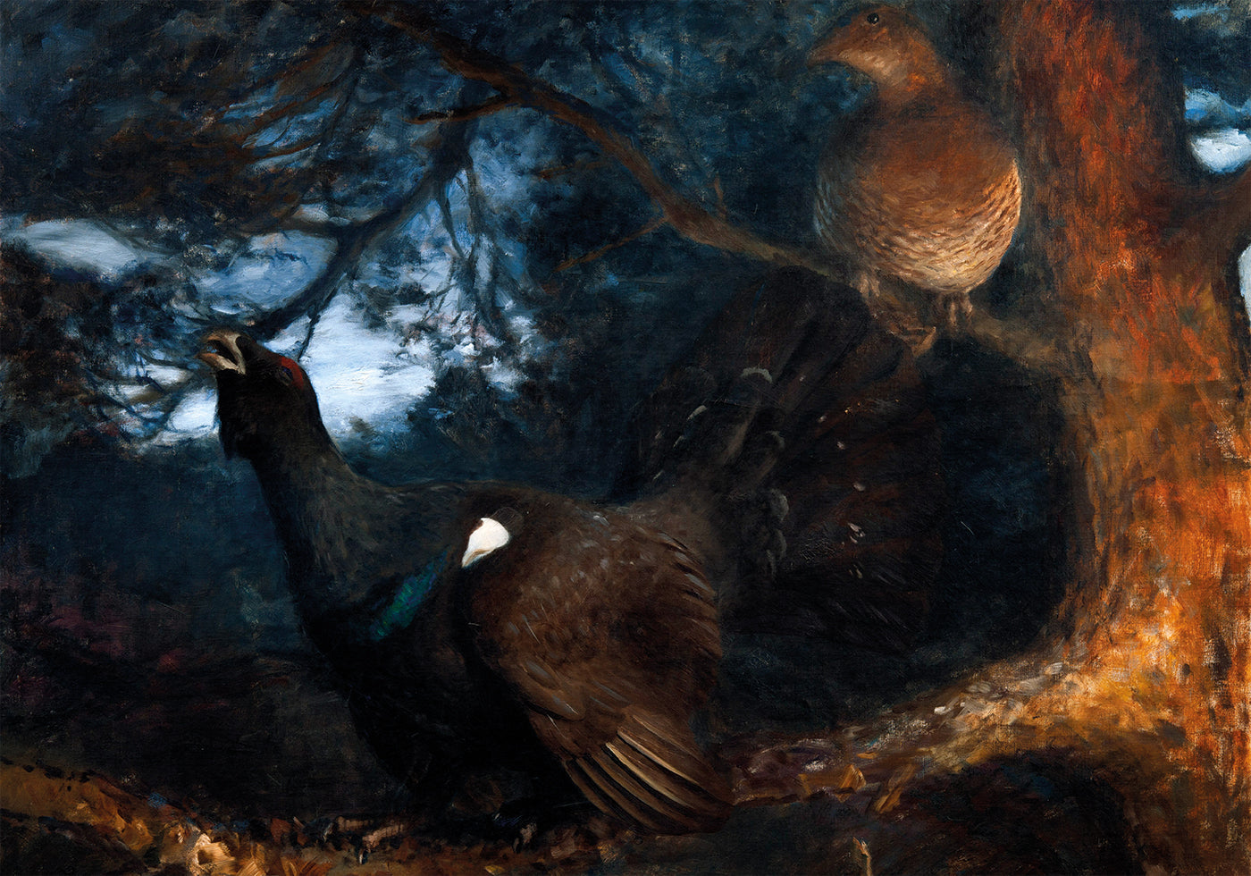 Die Paarung der Auerhühner von Bruno Liljefors Poster - Posterbox.dk