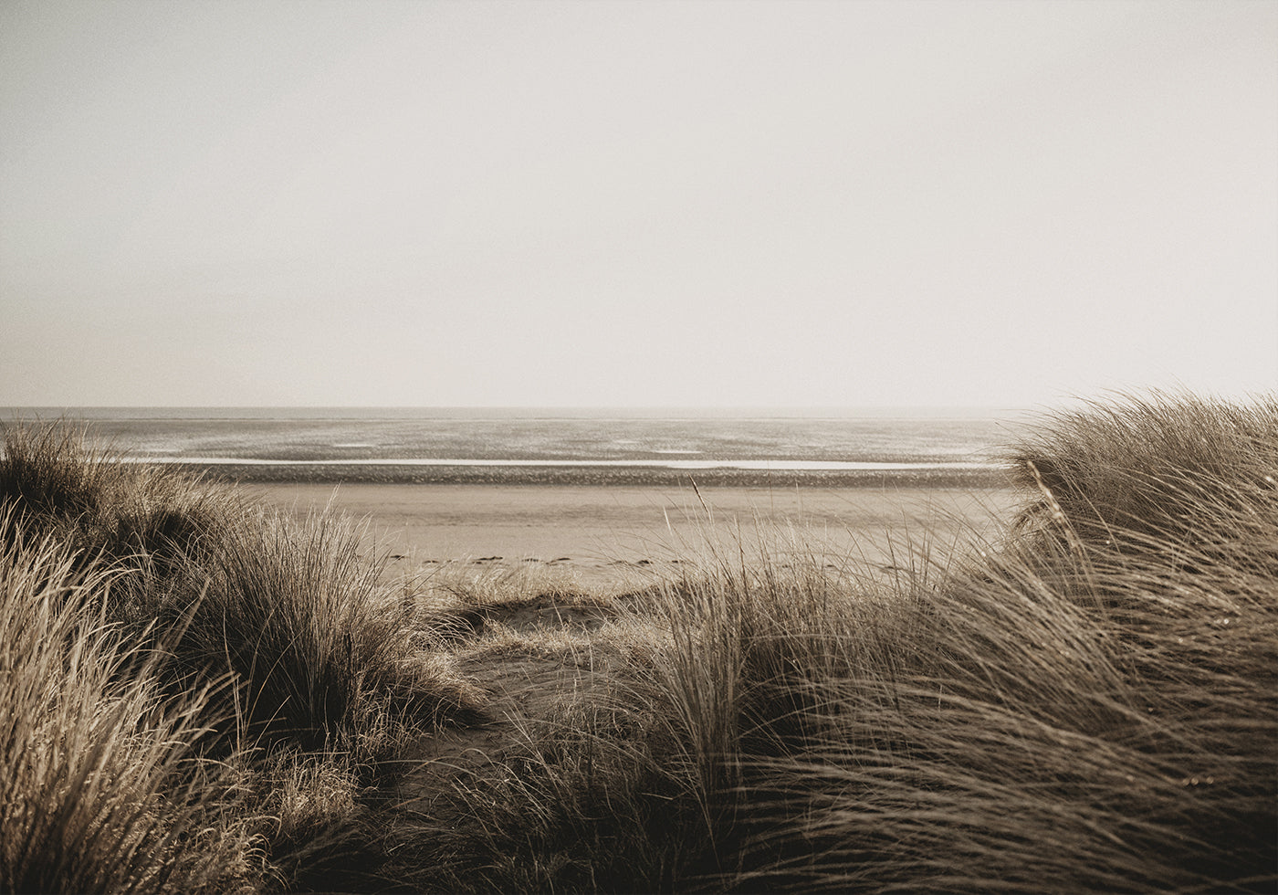 Blick auf den Strand hinter dem Gras Poster - Posterbox.dk