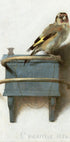 Vintage-Vogelmalerei-Poster - Posterbox.dk