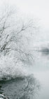 Wintersee-Poster - Posterbox.dk