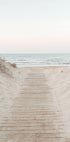Holzweg zum Strand Poster - Posterbox.dk