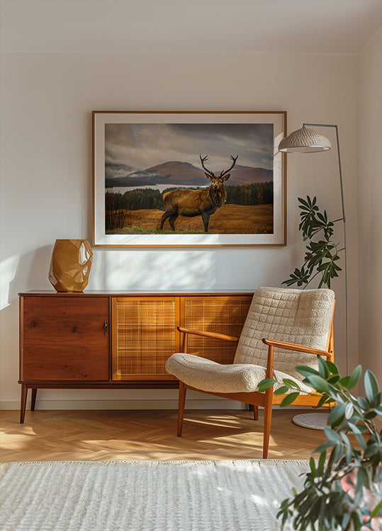 Scottish Stag Plakat - Posterbox
