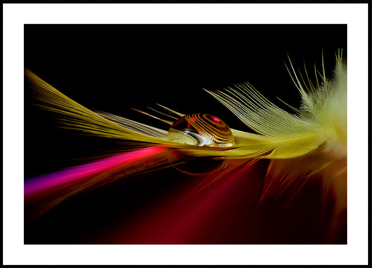 Colors in the drop - Posterbox