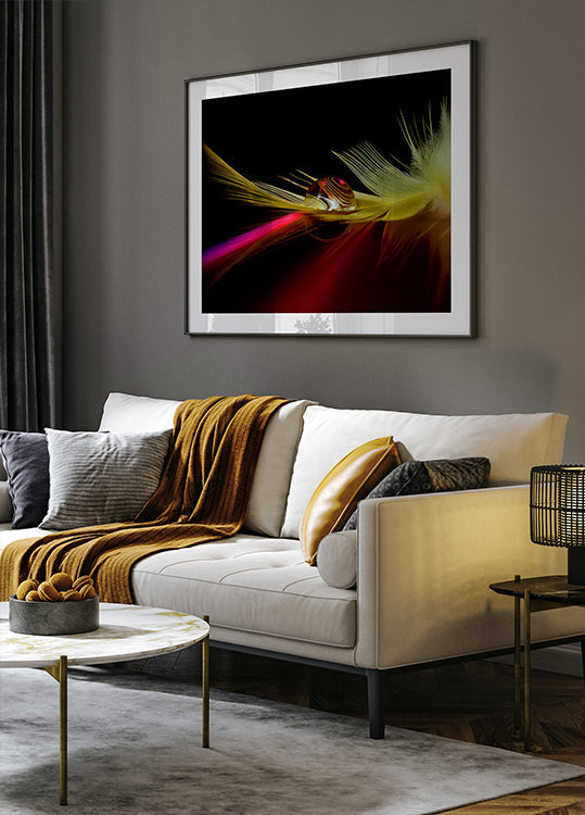 Colors in the drop - Posterbox