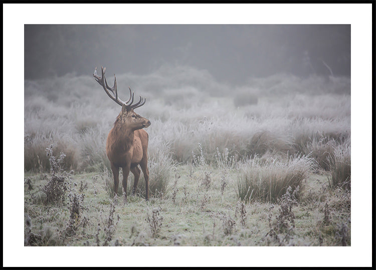 Prideful. deer . Plakat - Posterbox