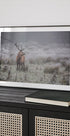 Prideful. deer . Plakat - Posterbox