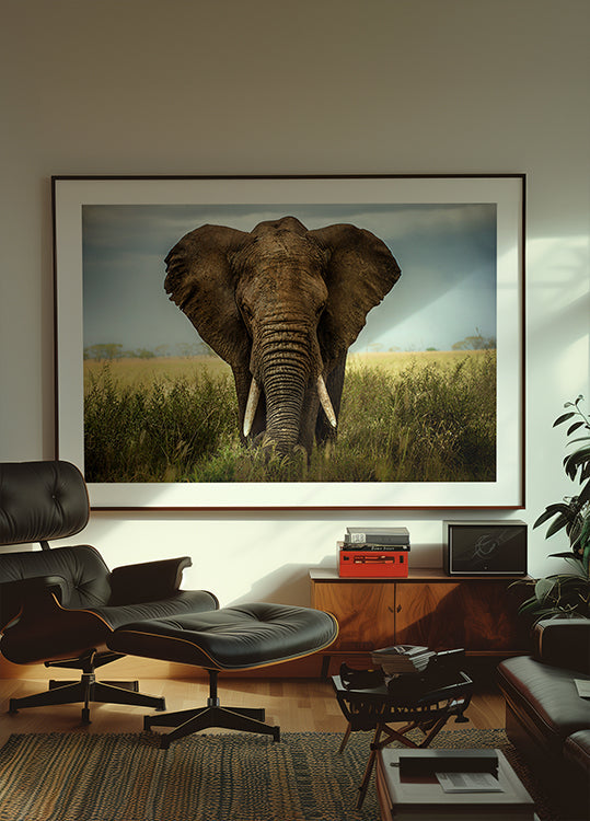 Encounters in Serengeti - Posterbox