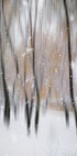 Winter Plakat - Posterbox