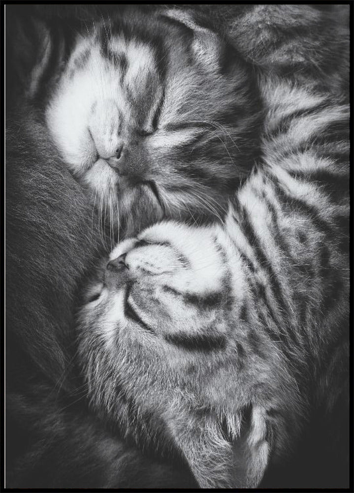 Yin and Yang Plakat - Posterbox