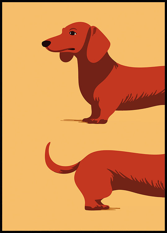 Dachshund Plakat - Posterbox