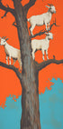 Goats In a Tree Plakat - Posterbox