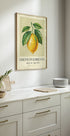Limone Di Sorrento (NEW) - Posterbox