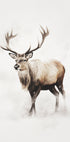 Reindeer In Snow Plakat - Posterbox