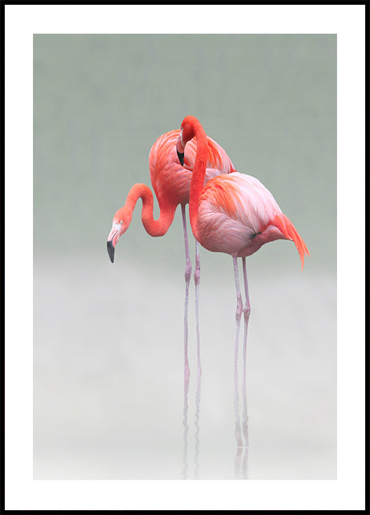 just we two ... - Posterbox