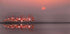 purple sunset - Posterbox