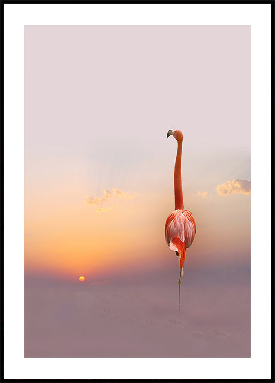 sunset ... - Posterbox