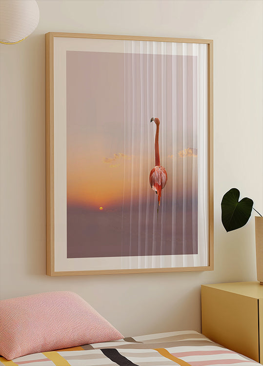 sunset ... - Posterbox