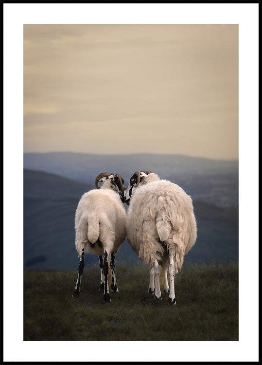 Yorkshire Love Plakat - Posterbox