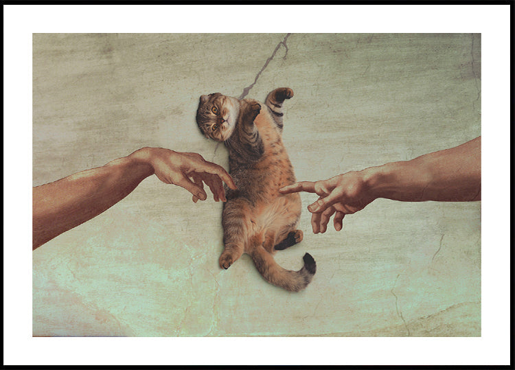 Touch of the Kitty Plakat - Posterbox