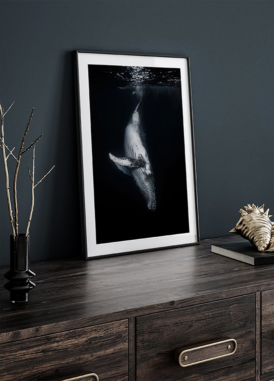 Black Whale Plakat - Posterbox