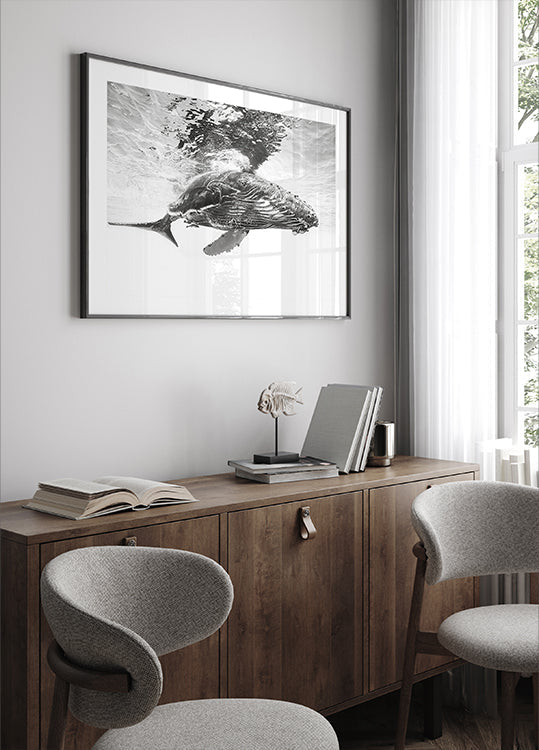 Humpback whale calf - Posterbox