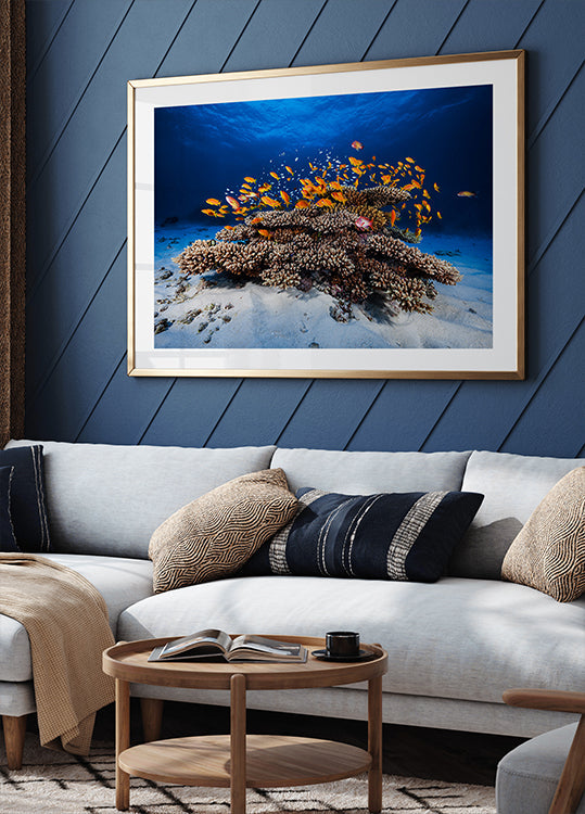Marine Life - Posterbox