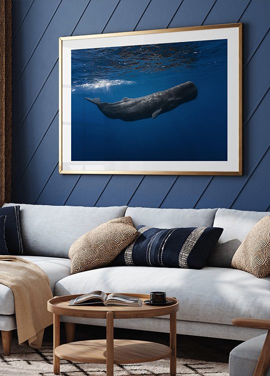Sperm whale - Posterbox