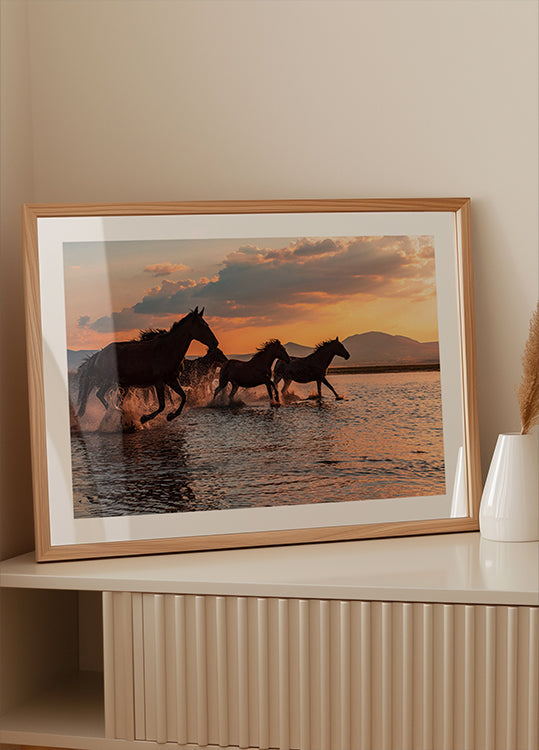 WATER HORSES Plakat - Posterbox