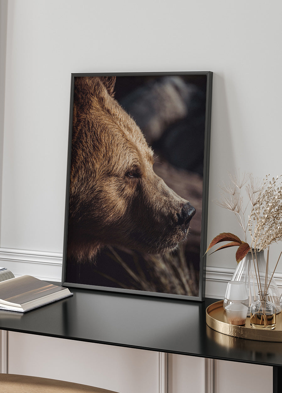 Bär im Profil Poster - Posterbox.dk