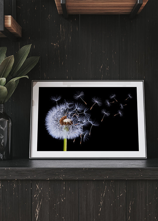 Dandelion Blowing Plakat - Posterbox
