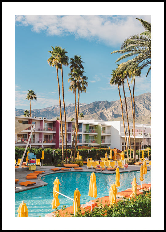 Palm Springs Saguaro Plakat - Posterbox